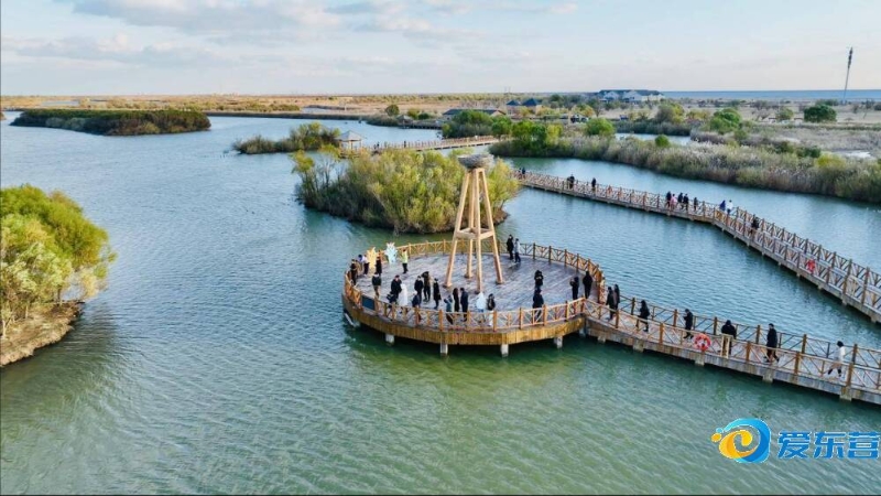 还可能在品 还可能在品