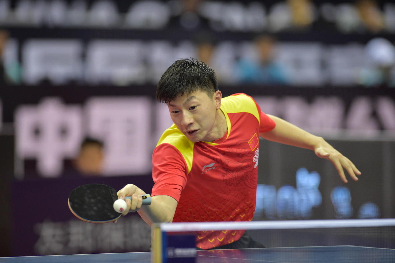 赢得了不少 赢得了不少